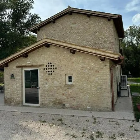 Il Leccino - Casale Piccolo