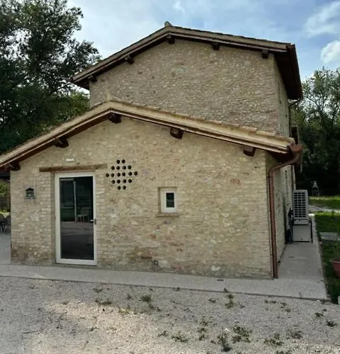 Il Leccino - Casale Piccolo